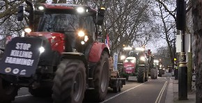 BRITANSKI POLJOPRIVREDNICI SE PRIDRUŽILI FRANCUSKIM KOLEGAMA  „Ovo je poslednji udarac za porodične farme“