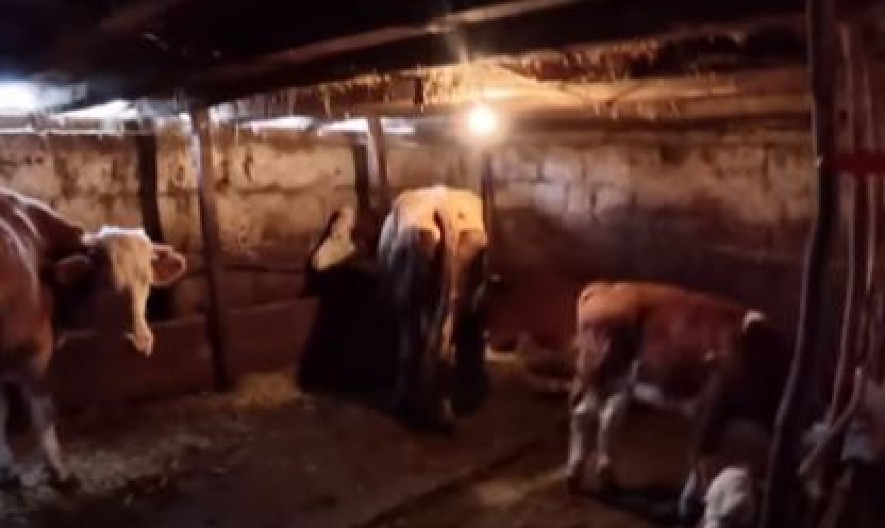 NA GOLIJI JE NAPRAVIO RAJ NA ZEMLJI, NA 1.000 METARA NADMORSKE VISINE! Sinovima poručuje samo jedno: "Idite. Idite za platom i celim svetom..."