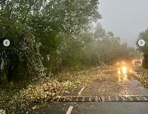 "U PANČEVU JE SMAK SVETA" Vetar nosi sve pred sobom, a evo šta će se desiti u Beogradu!