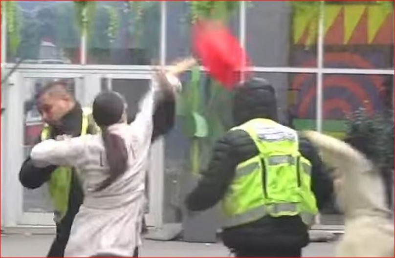 JELENA MARINKOVIĆ DEMOLIRA BELU KUĆU! Skandal u Šimanovcima, uništava imovinu! (VIDEO)