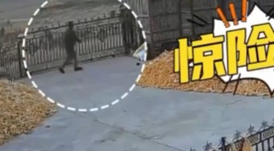 DIVLJI MONSTRUM BRUTALNO NAPAO ČOVEKA Muškarac pukom srećom izbegao najgore, građani u panici! (VIDEO)