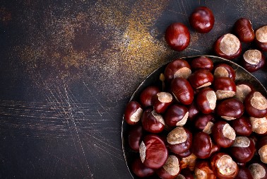 NIJE SVAKI KESTEN JESTIV Ova vrsta samo služi za dekoraciju i veoma je štetna za ljude, čak otrovna