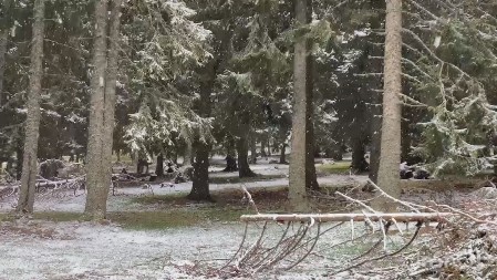 PRIPREME ZA SNEG I LED Opština Zemun objavila gde sve građani mogu da preuzmu industrijsku so za posipanje