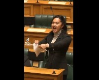 OVAKO SU MAORI PREKINULI SEDNICU: Plesom blokirali glasanje u parlamentu Novog Zelanda!