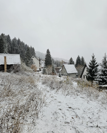 LESKOVČANKA SATIMA BILA ZAGLAVLJENA U SNEGU, GOLIM RUKAMA POMERALA DRVEĆE SA PUTA! Noć provela zarobljena u automobilu, spasio je suprug