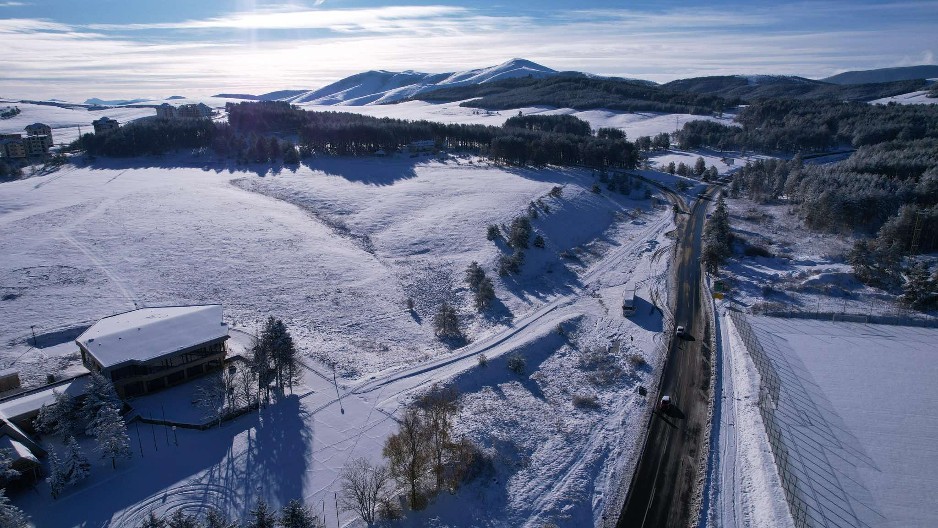 U CELOJ SRBIJI OSTALA SU JOŠ SAMO 4 Počela akcija na Zlatiboru, pokušaće da ih vrate