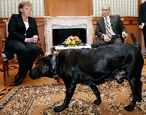 ŠOKANTNA ISPOVEST ANGELE MERKEL: Kako je Putin koristio moj strah od pasa u svojim igrama moći! (FOTO)