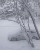 ŽENA KOJA JE NESTALA PRE DVA DANA KOD KRALJEVA PRONAĐENA MRTVA U SNEGU Staricu su jedva našli, bila je blizu kuće