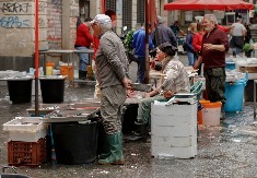 NEMA NIŠTA BOLJE ZA ZDRAVO SRCE Kardiolozi tvrde da ovu ribu treba jesti bar 2 puta nedeljno