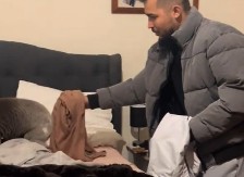 BRAČNI PAR ZATEKAO DIVLJU ZVER NA KREVETU Nezvani gost rešio da se odmori, ženina reakcija je totalni hit! (VIDEO)