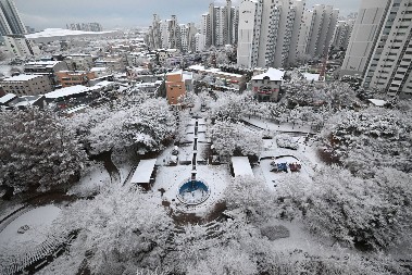 IMA MRTVIH! Zabeležen REKORDNI sneg, skoro cela zemlja je paralisana (FOTO)