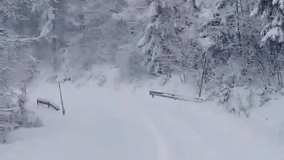 SRBIJA ZAVEJANA! Na Zlatiboru napadalo pola metra snega: Za određene putne pravce na snazi ZABRANA za teretni saobraćaj! (FOTO)