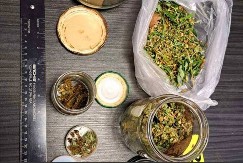 UHAPŠEN DILER U KULI Policija mu u kući pronašla pola kile droge