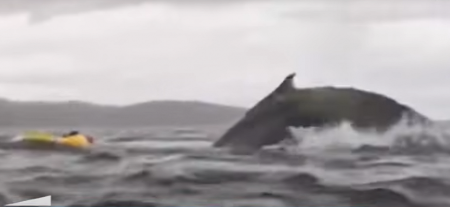 JEZIVO! OTAC SNIMIO TRENUTAK KADA MU JE KIT PROGUTAO SINA Scena ledi krv u žilama! (VIDEO)