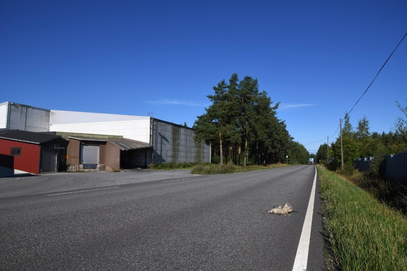 POMOR PTICA U VOJVODINI Ima i mrtvih šakala