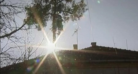 LEGENDA KOJA UTERUJE STRAH U KOSTI Stari Sloveni su verovali da ovo drvo u blizini kuće privlači zlo