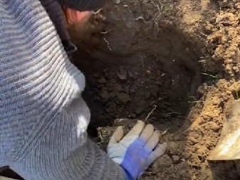 KOPALI SU RUPU U DVORIŠTU I NAIŠLI NA JEZIVO OTKRIĆE Kad su izvukli predmet, umalo se onesvestili od šoka! (VIDEO)