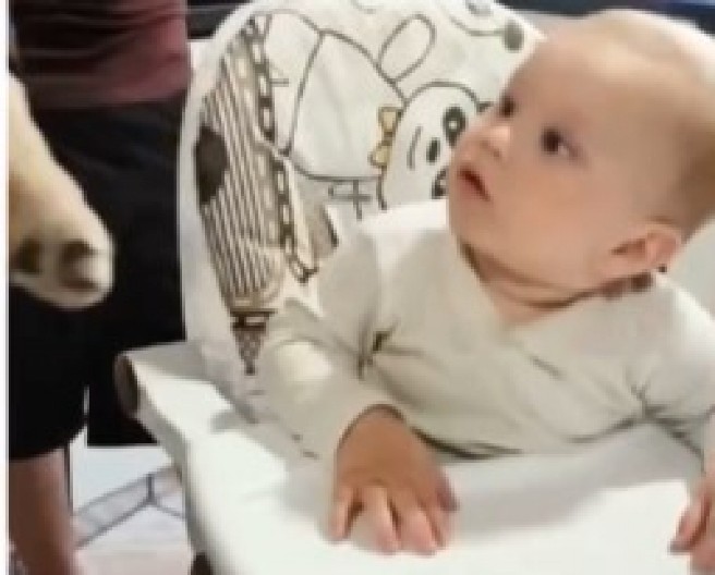 REAKCIJA OVE BEBE JE NEŠTO NAJSLAĐE ŠTO ĆETE VIDETI DANAS Neodoljivi trenutak kada je prvi put ugledala psa rastopiće i najtvrđa srca! (VIDEO)