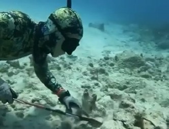 ŠOKANTAN SUSRET S MORSKIM ČUDOVIŠTEM Divlja životinja davila ronioca, jeziv prizor zabeležen kamerom! (VIDEO)