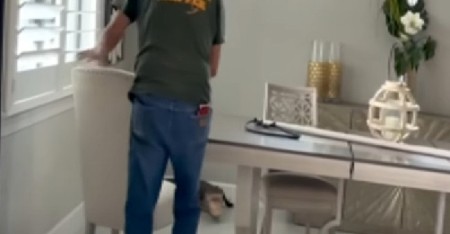 SEDEO ZA RAČUNAROM PA ČUO LUPANJE U KUHINJI Kada je video divljeg monstruma od 2 i po metra, umalo se onesvestio od šoka! (VIDEO)