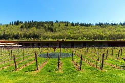 Postoji italijanska porodica milijardera za koju je malo ko čuo – imperiju su stvorili uz pomoć jednostavnog principa