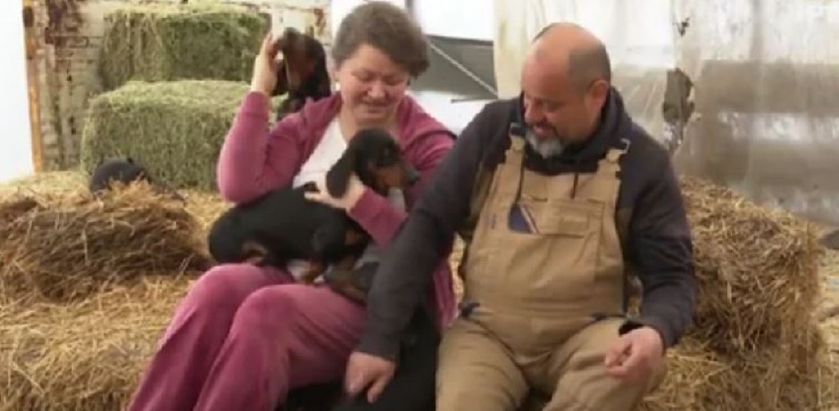 "GAJIMO KOZE I NIŠTA NAM NE FALI!" Ukrajinka Tatjana se s mužem skućila u selu kod Kikinde!