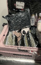 DAČIĆ SE OGLASIO O HAPŠENJU MAĐARICE NA AERODROMU Otkrio šta je sve pronađeno u njenim koferima (FOTO)