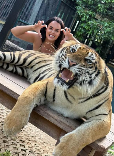 ŽENA OD SULTANA U KAVEZU SA TIGROVIMA! Heklani bikini privukao pažnju, istakao njene obline na Tajlandu