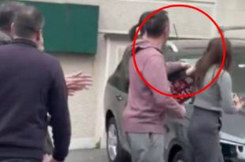 POBESNELA RULJA NA ČELU SA PLENUMAŠICOM ČUPA DEVOJČICU Došli pred njen stan na Zvezdari da je maltretiraju (VIDEO)