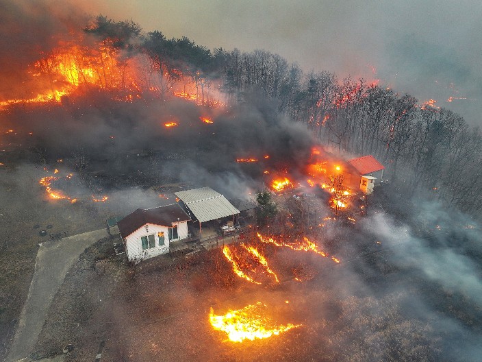BUKTINJA SE NE SMIRUJE Najmanje četiri osobe poginule, a 11 povređeno u šumskim požarima u Južnoj Koreji (FOTO/VIDEO)