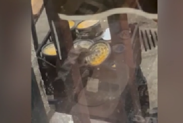 PACOV NA FILOLOŠKOM FAKULTETU! Gricka hranu u leglu zaraze, niko ne baca hranu (VIDEO)