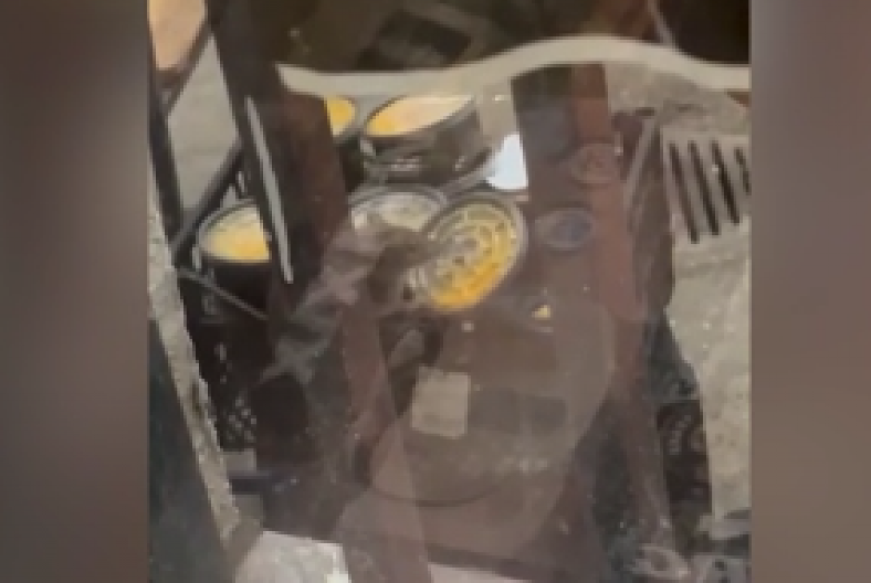 PACOV NA FILOLOŠKOM FAKULTETU! Gricka hranu u leglu zaraze, niko ne baca hranu (VIDEO)