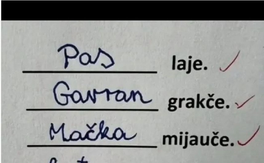BOŽE, KAKAV GENIJE Zbog urnebesnog odgovora đaka na kontrolnom plakaćete od smeha, nikada se ovog ne bi setili