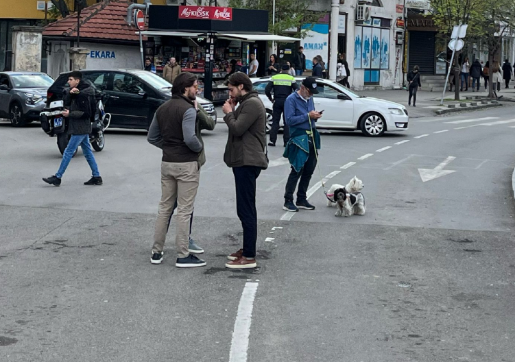 NOVI TEROR NAD BEOGRAĐANIMA: Njih 3.153 terorisalo ceo grad - došli i "roleks" studenti