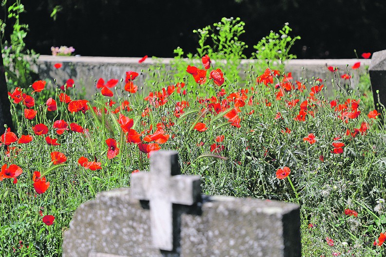 BRIŠU ĆIRILICU SA NADGROBNIH PLOČA: Još jedan pokušaj prekrajanja istorije