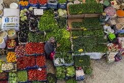 U AMERICI GA PLAĆAJU KAO SUVO ZLATO, A USPEVA U SRBIJI Ovo povrće za koje su naše bake govorile da se u "krv stvara" je riznica vitamina i minerala