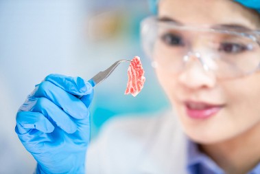 JAPANSKO ČUDO Pileći medaljoni iz laboratorije