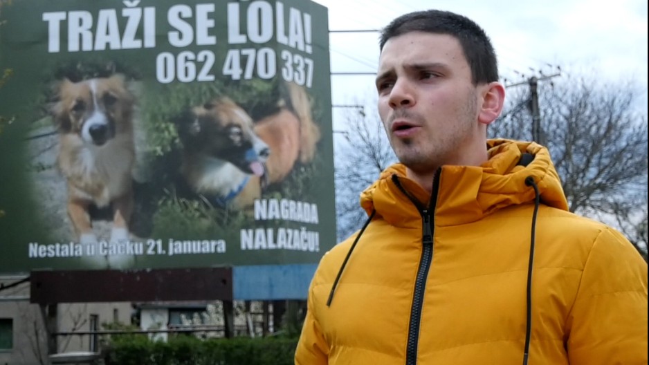 MARKO ZAKUPIO BILBORD KAKO BI NAŠAO SVOJU LOLU Dirljiva priča o ljubavi čoveka i psa (FOTO)