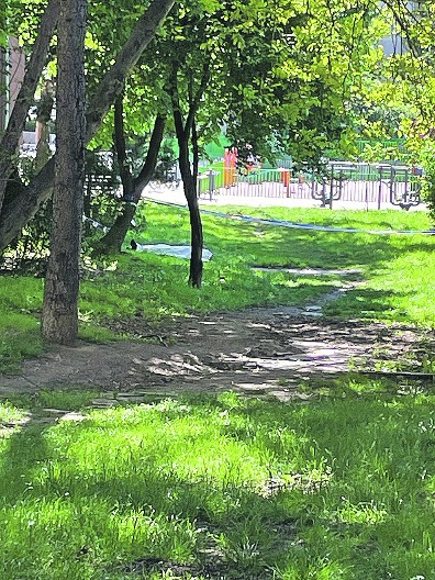 MALOLETNIK (17) UHAPŠEN ZBOG UBISTVA NA ZVEZDARI! Nasmrt izbo Aleksandra u parku