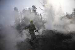 NASTAVLJA SE BORBA PROTIV POŽARA U JERUSALIMU Stiže pomoć iz Italije i sa Kipra, aktivno ukupno 11 žarišta (FOTO)