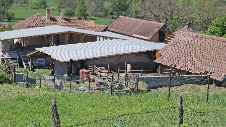 OVO JE KUĆA U TOPOLI U KOJOJ SE DOGODILA NEZAPAMĆENA TRAGEDIJA U dvorištu prisutno vozilo Hitne pomoći (FOTO/VIDEO)