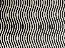 OPTIČKA ILUZIJA KOJA JE RAZBESNELA INTERNET Samo 1% ljudi vidi ženu na slici, ostali samo haos - u koju grupu vi spadate?