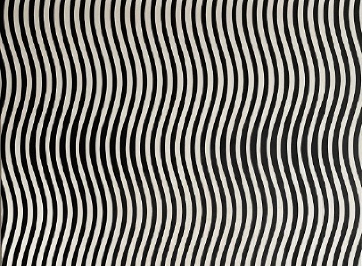 OPTIČKA ILUZIJA KOJA JE RAZBESNELA INTERNET Samo 1% ljudi vidi ženu na slici, ostali samo haos - u koju grupu vi spadate?