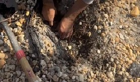 STRAVA I UŽAS U DVORIŠTU Žena iskopala rupu u zemlji, a onda naišla na prizor koji ledi krv u žilama! (VIDEO)