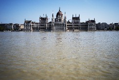 MAĐARIZMI U SRPSKOM JEZIKU Zalutali u jezičkoj istoriji, 10 reči koje su Srbi uzeli od Mađara