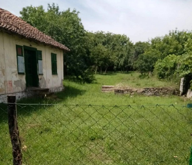 KUĆA I VOĆNJAK BLIZU NIŠA ZA 16.000 EVRA: Ipak, postoji jedna mana! (FOTO)