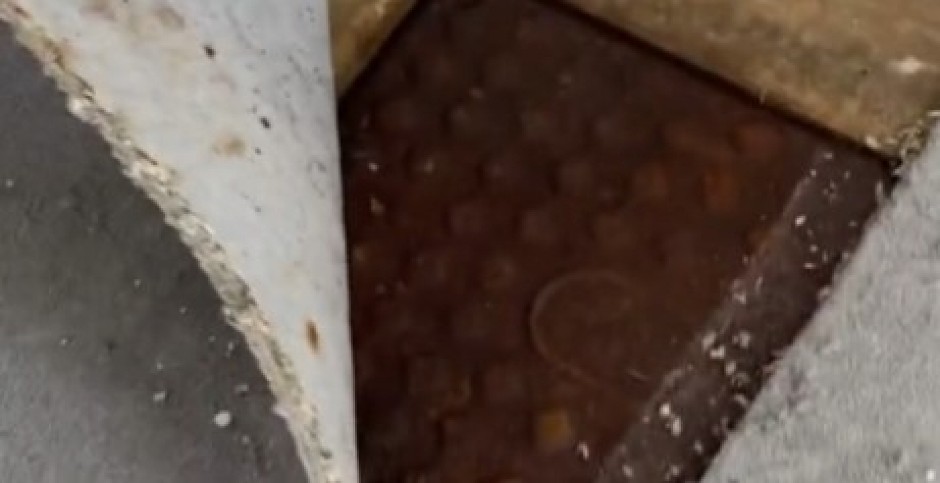 SMRAD U SOBI JE BIO TOLIKO JAK, DA SU MISLILI DA JE NEŠTO UMRLO Kada su supružnici uklonili tepih, umalo se onesvestili od šoka! (VIDEO)