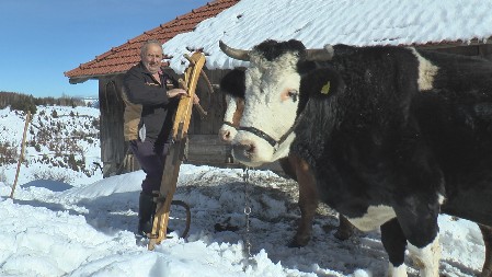 "VOLOVI SU NAM NAJBOLJI PRIJATELJI" Tokom zime, meštani Kamene Gore samo se na njih oslanjaju