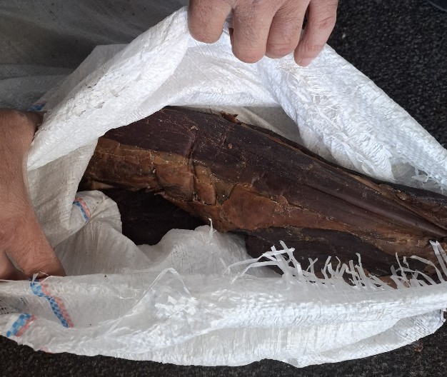 PALI NA GRANICI SA NEPUNOM TONOM PRŠUTE, ĆEVAPIMA I KAJMAKOM! Neobična zaplena na Horgošu