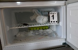 NIŠLIJA SAKRIO SPID U ZAMRZIVAČ, A MARIHUANU UŠTEKAO U KESU ZA SMEĆE Uhapšen sa oko pola kile droge